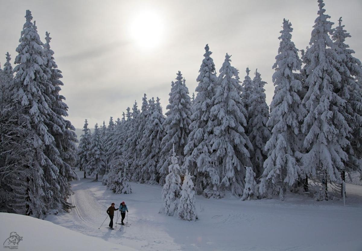 Stadtstreuner * Winterberg